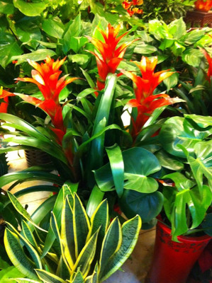 上海閔行禮品/鮮花公司與58網鄰通紙制品銷售分析